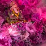 WhatsApp Image 2025-09-24 at 9.14.33 AM